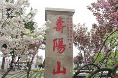 九龍山公墓地處戶縣石井鄉(xiāng)潭峪村1萬起