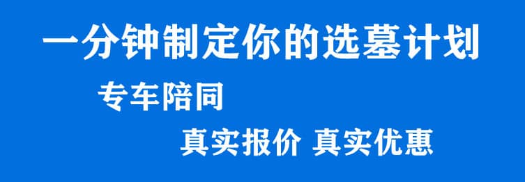 購墓指導、方案策劃