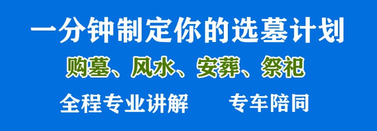 購墓指導、方案策劃