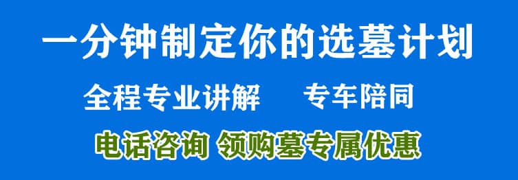 購墓指導、方案策劃