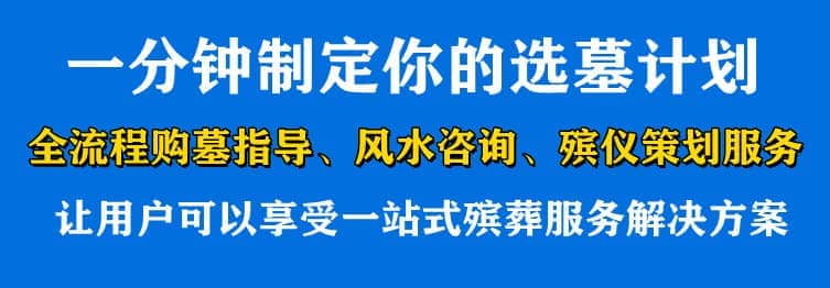 購墓指導(dǎo)、方案策劃