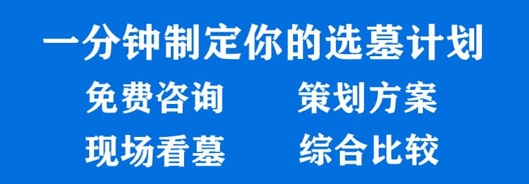 購墓指導(dǎo)、方案策劃