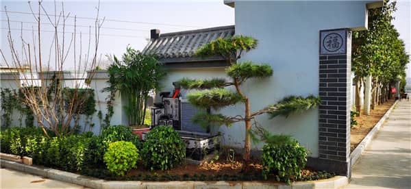 漢皇樹葬墓園和昭陵墓園在地理位置上有何不同，這對選擇墓園有何影響？