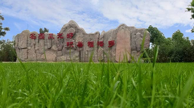 清明節祭掃服務攻略 西安市鳳棲山人文紀念園