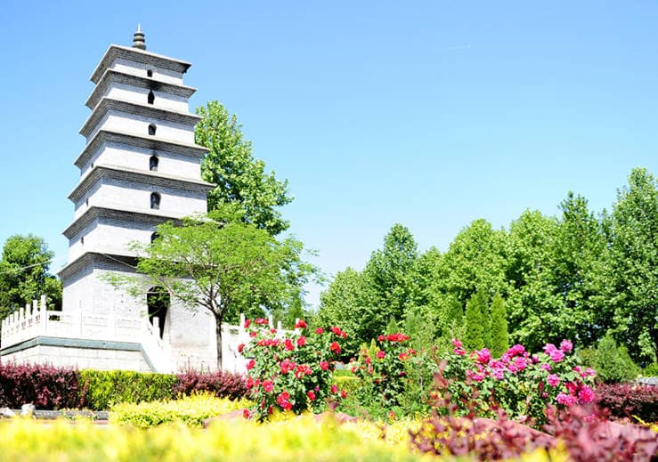 鳳棲山人文紀念園清明節集中接待免費便民公交車安排通知-長安區鳳棲山人文紀念園