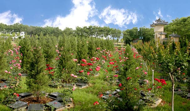 西安市鳳棲山有多少墓園