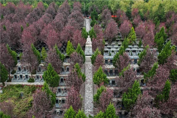 西安壽陽山墓園逐步恢復各項服務