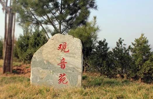 前往西安壽陽山墓園的交通指南與注意事項(xiàng)