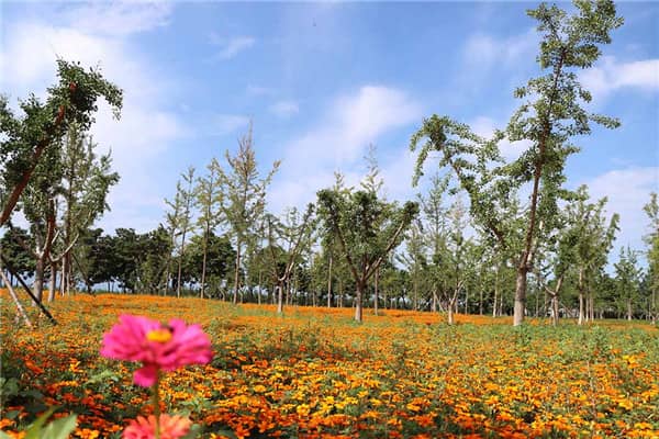 西安壽陽山墓園地圖 西安壽陽山公墓公交車