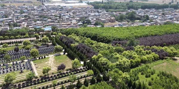 西安壽陽山墓園掃墓：尊重生命，緬懷逝者