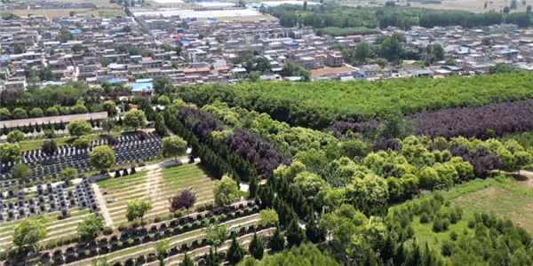 西安壽陽山墓園與白鹿原墓園特色對比