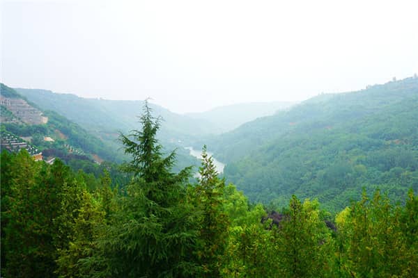 西安高橋墓園與壽陽山哪個好？