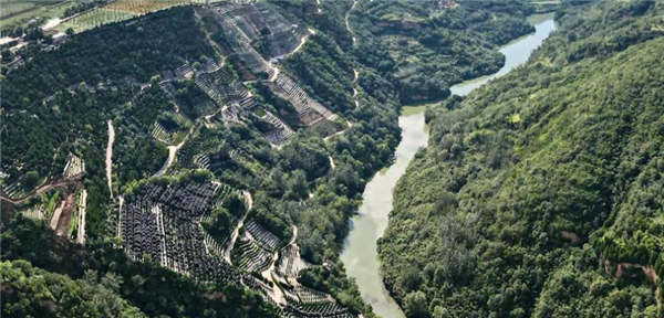 如果我選擇自駕前往西安壽陽山公墓，有哪些比較便捷的路線可以選擇，各自的特點是什么？