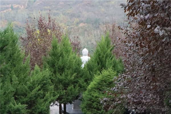 西安壽陽山墓園代客祭掃套餐