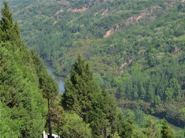 壽陽山墓園西安地址在那