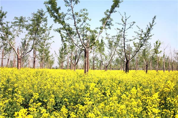 西安壽陽山墓園交通指南