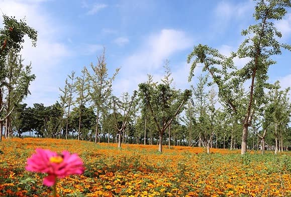 西安壽陽山墓園掃墓通知，傾聽生命的故事