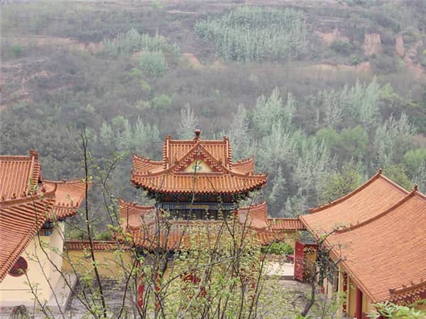 壽陽山墓園提供代客祭掃服務（套餐二：愛的寄托）