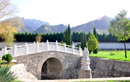 長安慈恩園 清明節代祭掃公益活動