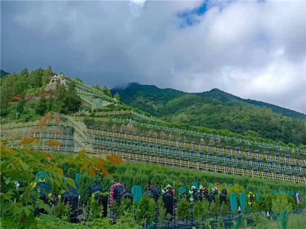 西安九龍山墓園收費，一鍵選墓