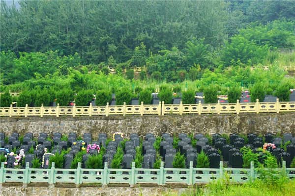 陜西九龍山墓園清明節掃墓祭祀出行公交線路