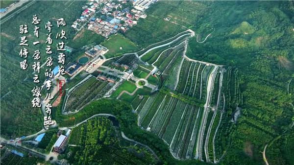 西安霸陵墓園新區大力推廣草坪葬、樹葬、格位葬、花壇葬等生態葬法