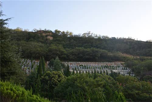 西安高橋墓園的自然環境有哪些獨特之處，使其被譽為風水寶地？