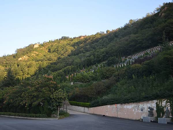 西安市高橋鯨魚溝墓地