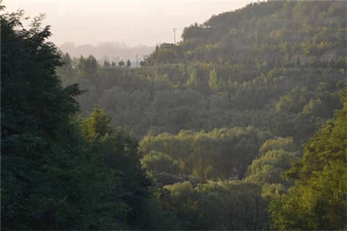 壽陽山墓園與高橋墓園服務對比，哪個更貼心？