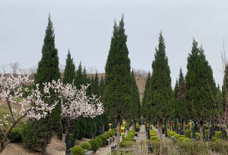 西安經營性公墓臥龍山福園