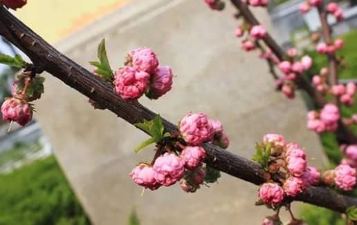 西安周邊的小型陵園