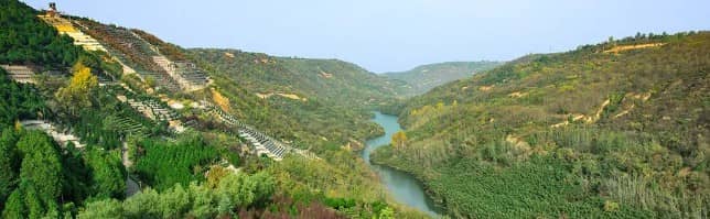 西安有樹葬和草坪葬墓園