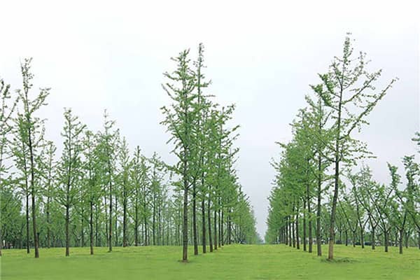 西安墓園中，哪些墓園在提供個性化商品和服務方面做得比較出色？