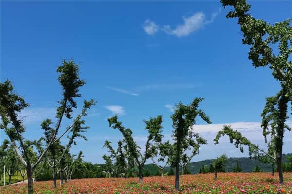 西安周邊墓地，優秀陵園