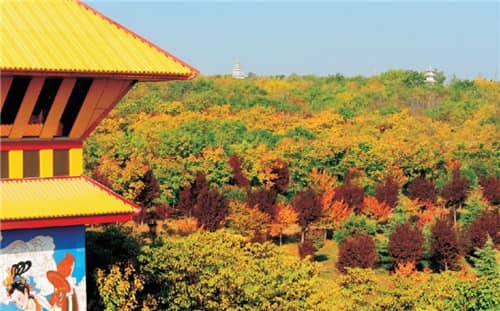 西安什么樣的墓地風水好，讓逝者永不遺忘